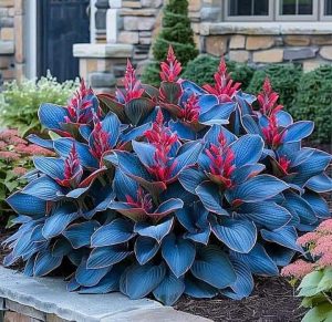 Хоста Грин Фог купить по цене от 669р. в интернет-магазине «Посадика» с доставкой почтой в в Любанье и по всей России – [изображение №1].