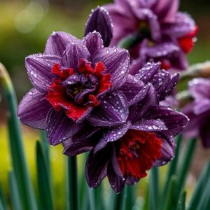 Нарцисс Минт Флер купить по цене от 2000р. в интернет-магазине «Посадика» с доставкой почтой в в Любанье и по всей России – [изображение №1].