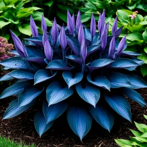 Хоста Сикрет Гров купить по цене от 570р. в интернет-магазине «Посадика» с доставкой почтой в в Любанье и по всей России – [изображение №1].