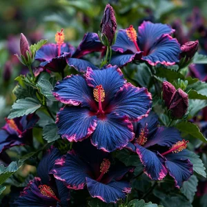 Гибискус Голден Глоу купить по цене от 259р. в интернет-магазине «Посадика» с доставкой почтой в в Любанье и по всей России – [изображение №1].