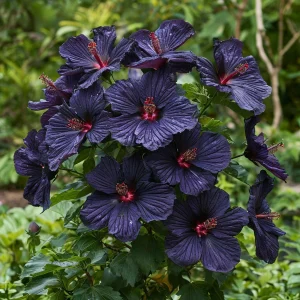 Гибискус Мэджик Момент купить по цене от 699р. в интернет-магазине «Посадика» с доставкой почтой в в Любанье и по всей России – [изображение №1].