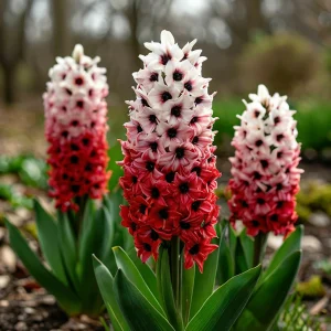 Гиацинт Скай Гарден купить по цене от 2099р. в интернет-магазине «Посадика» с доставкой почтой в в Любанье и по всей России – [изображение №1].