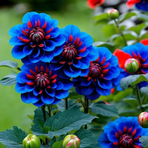 Георгин Аквамарин купить по цене от 318р. в интернет-магазине «Посадика» с доставкой почтой в в Любанье и по всей России – [изображение №1].