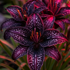 Лилейник Вояж купить по цене от 699р. в интернет-магазине «Посадика» с доставкой почтой в в Любанье и по всей России – [изображение №1].